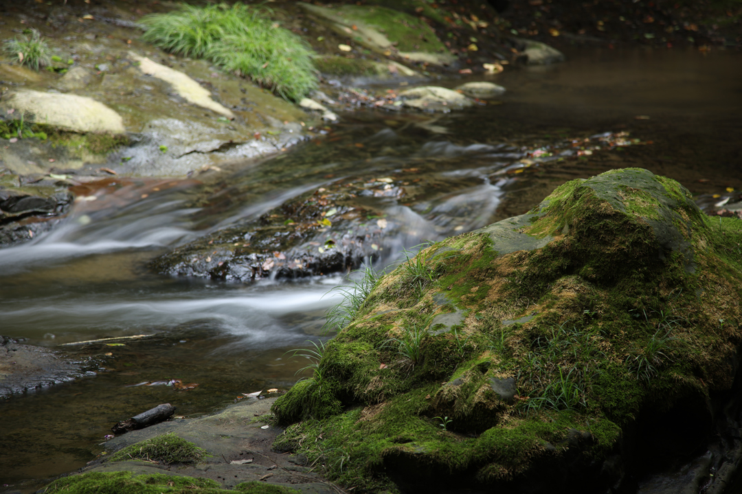 Here is an original, untouched portrait image before using the Partial Correction Tool.