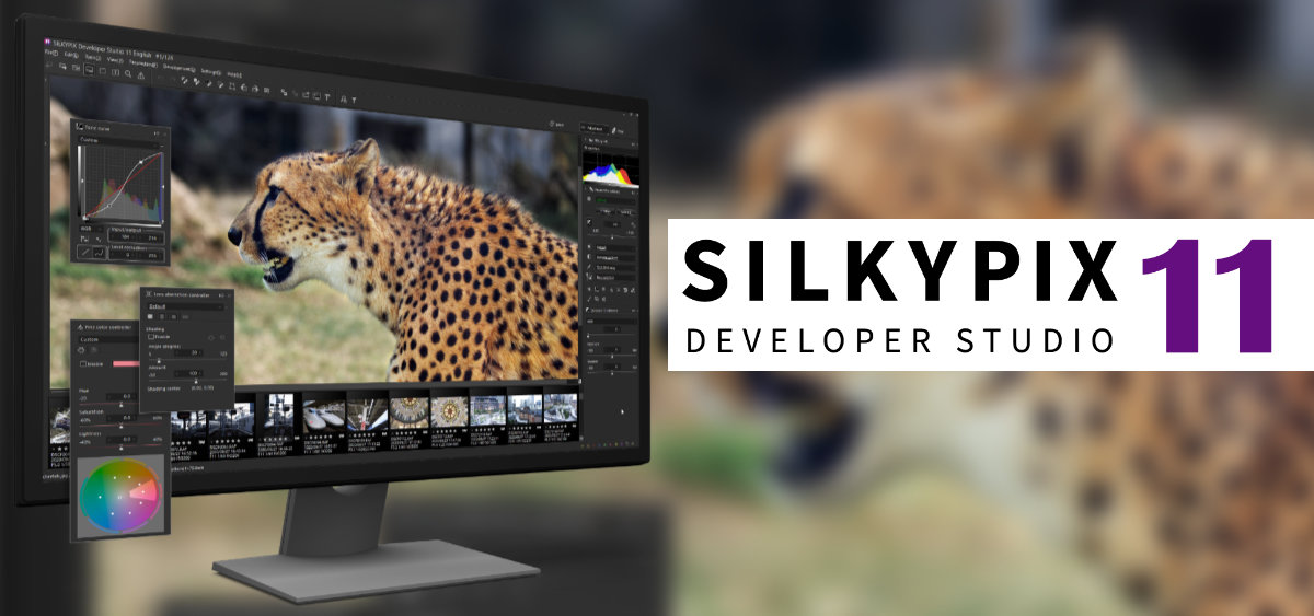 SILKYPIX DS11 RAW Photo Software for macOS and Windows