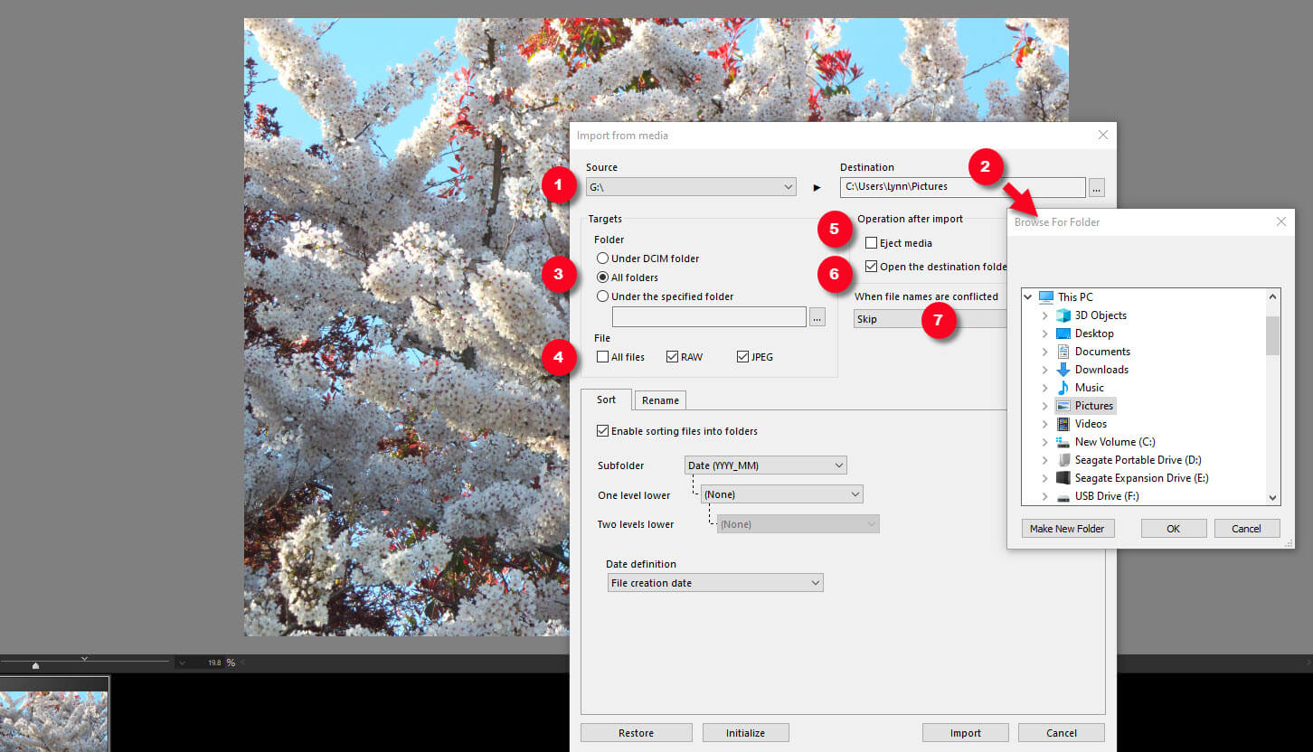 SILKYPIX Auto-Import Dialog