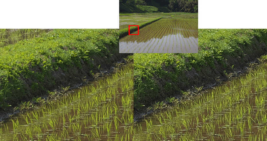 Clearview Demosaic Processing in SILKYPIX 11