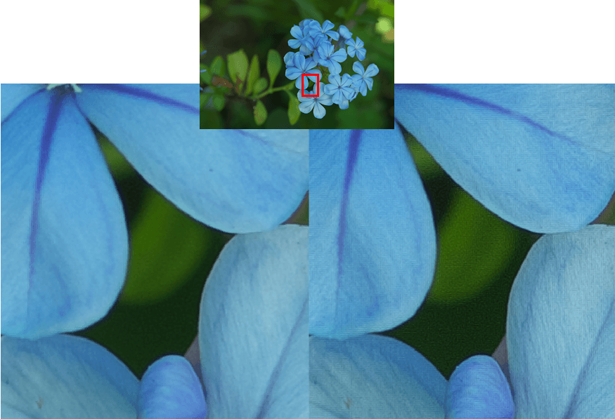 Clearview Demosaic Processing in SILKYPIX 11