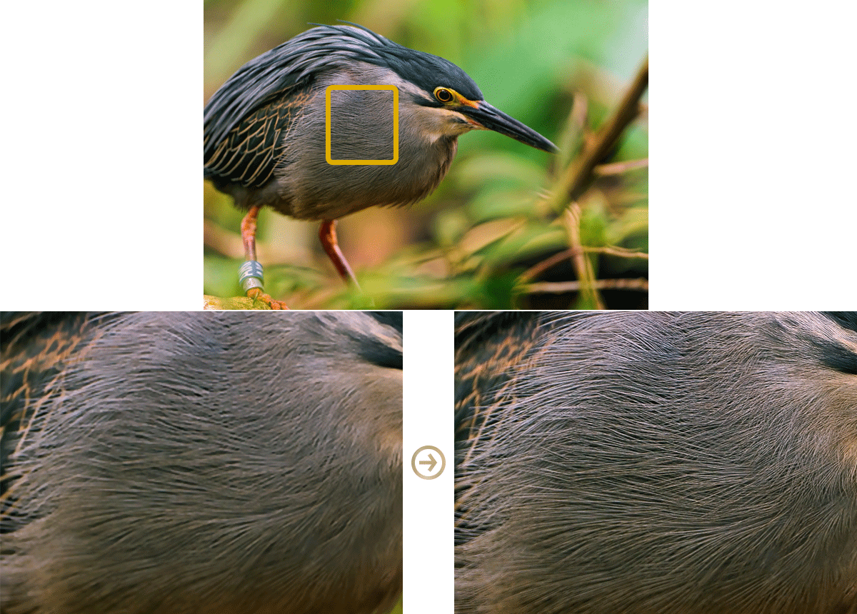 Reveal Details Lost with Low Pass Filters