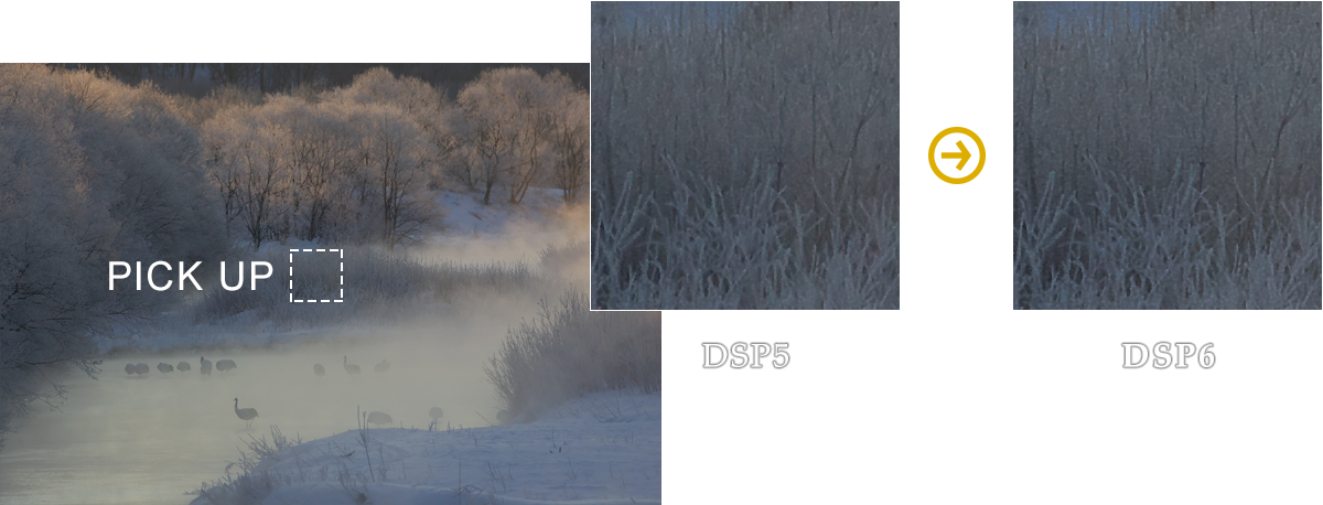 Improved Maintenance Level of Outlines during Noise Reduction