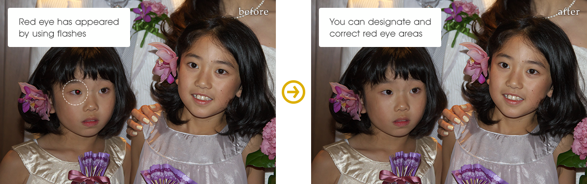 Red Eye Correction Brush
