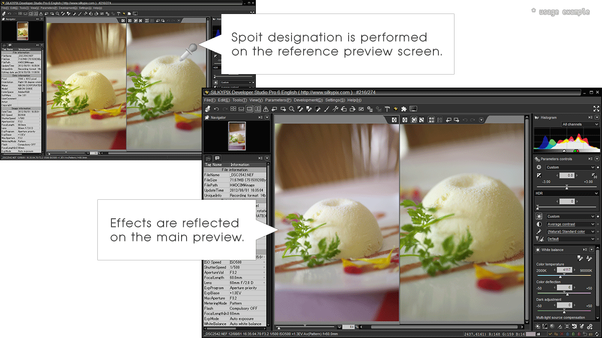 Multi-Preview Response to Spoit Tools