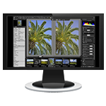 SILKYPIX 3 Column Layout