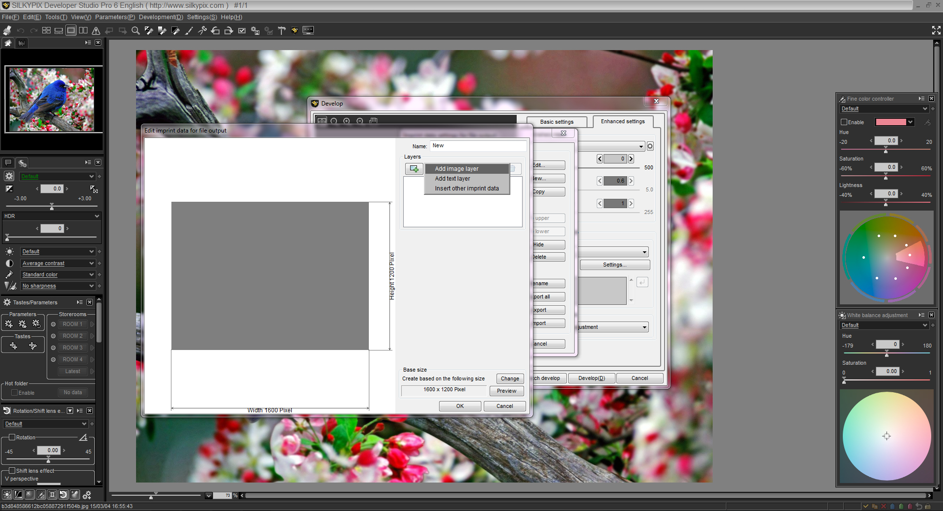 Add a Layer in the SILKYPIX template