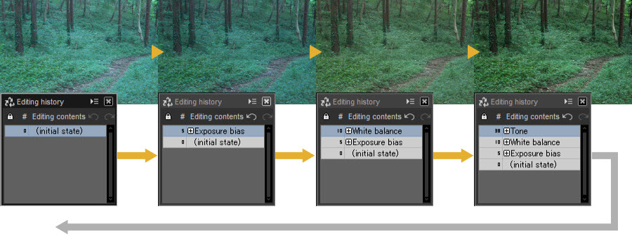 Editing History in SILKYPIX