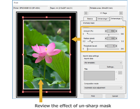 Unsharp Mask in Print Preview Dialog