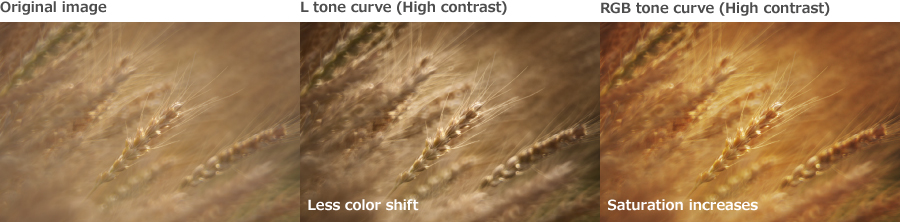  High Contrast Adjustments in Photography