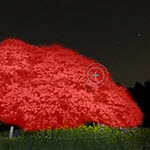 Brush Correction Filter