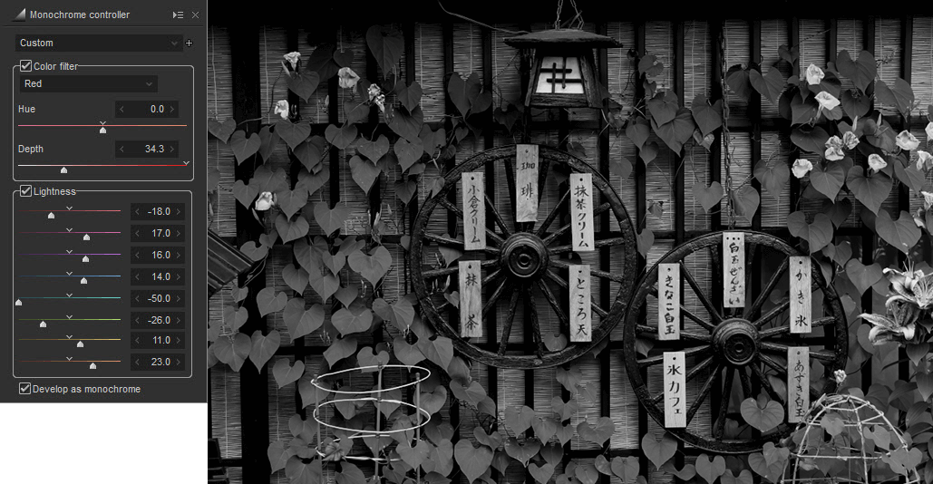 Photo with Monochrome Controller Set to Example 1 Settings