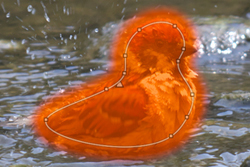 Partial Correction Tool: Circular