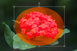 Partial Correction Tool: Circular Option